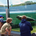 Zeehondenopvang Ecomare