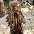 IMG 0167 - low